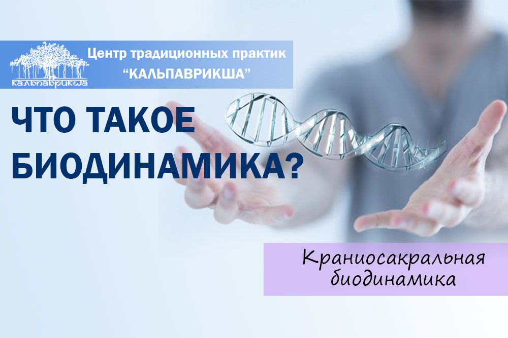 биодинамика