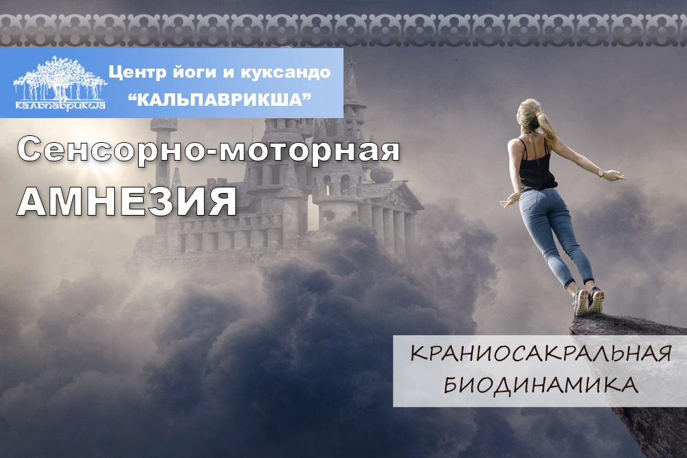 Сенсорно-моторная амнезия