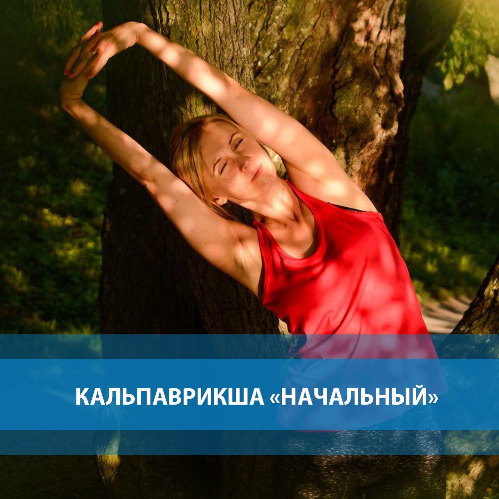 кальпаврикша начальный