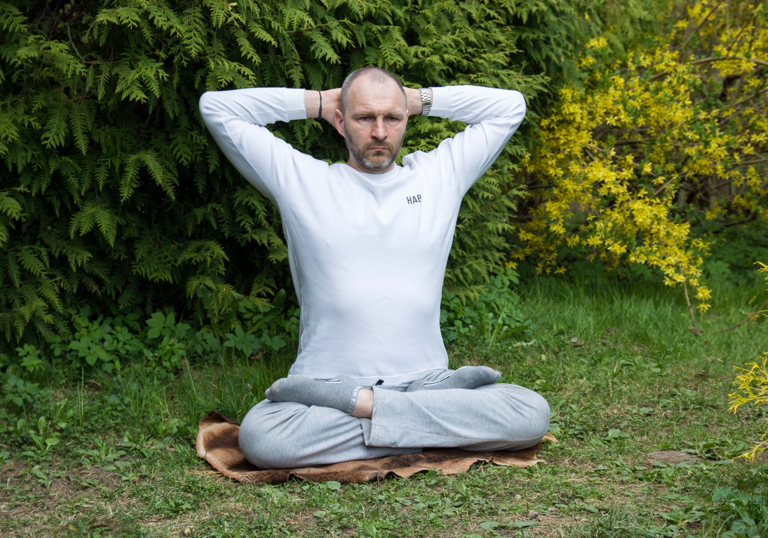 асана. положение в асане.