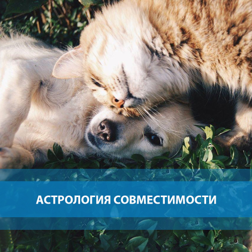 Совместимость с партнером