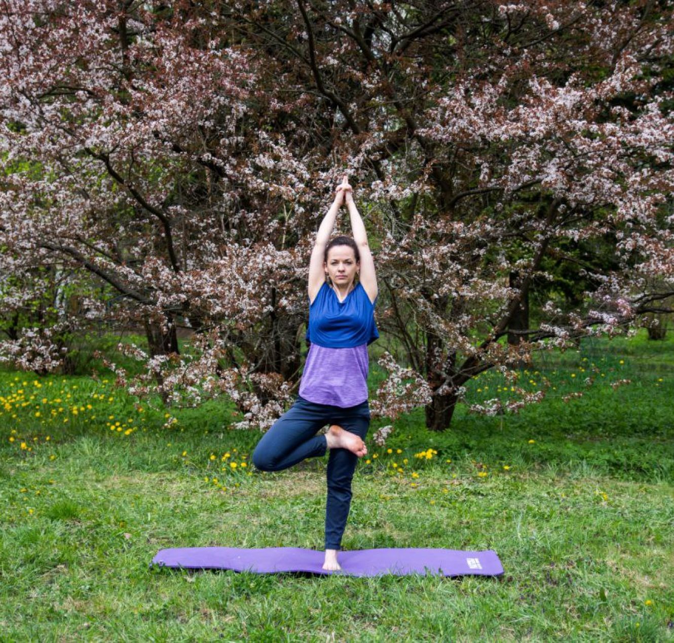 Консультация